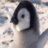 1000002535.gif