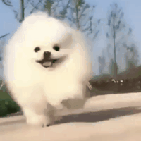 1000003905.png