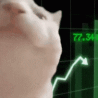 1000004434.gif
