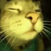 1000043657.gif