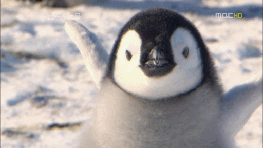 1000001061.gif